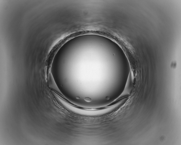 X0000099571262200805161508