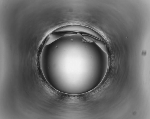 X0000099571264200805161508