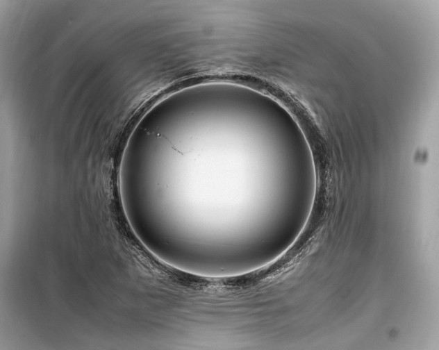 X0000099571265200805161508