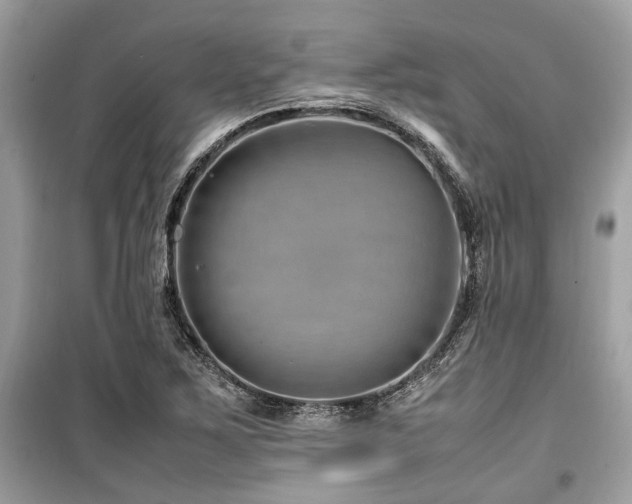 X0000099571267200805161508