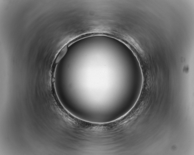 X0000099571268200805161508