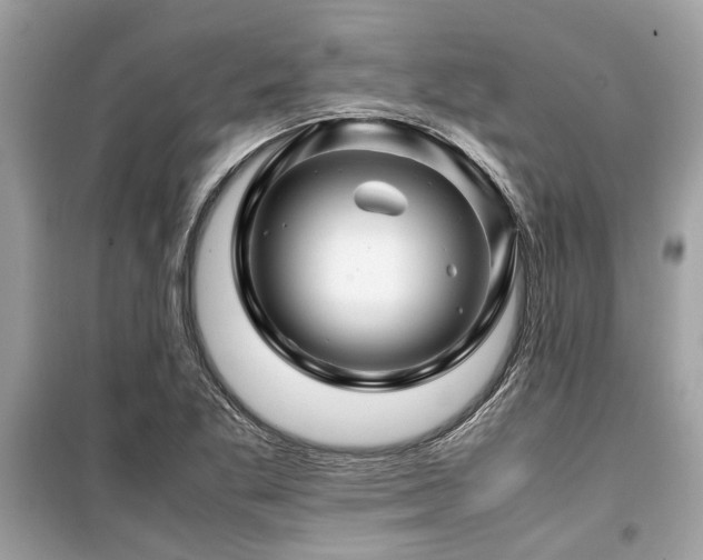 X0000099571269200805161508