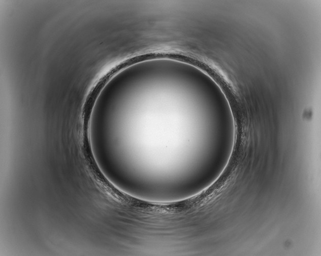 X0000099571270200805161508