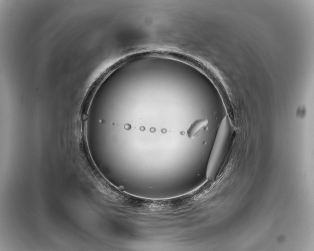 X0000099571271200805161508