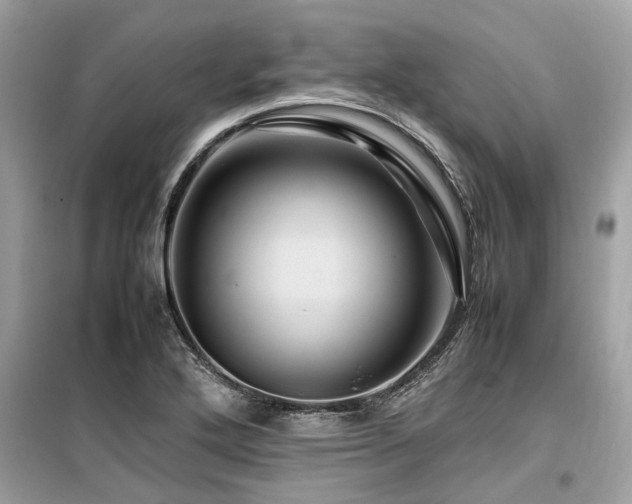 X0000099571272200805161508