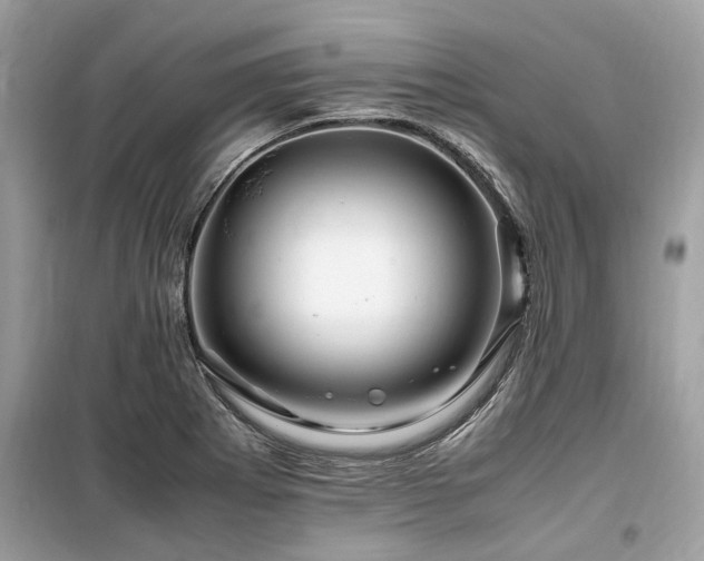 X0000099571273200805161508
