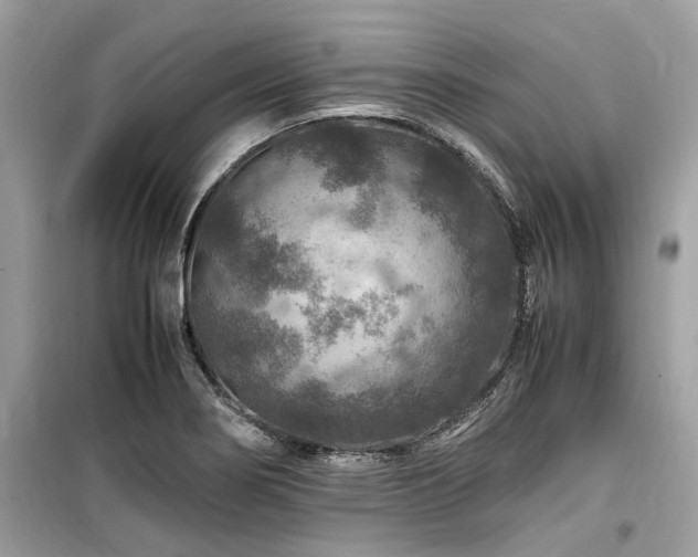 X0000099571274200805161508
