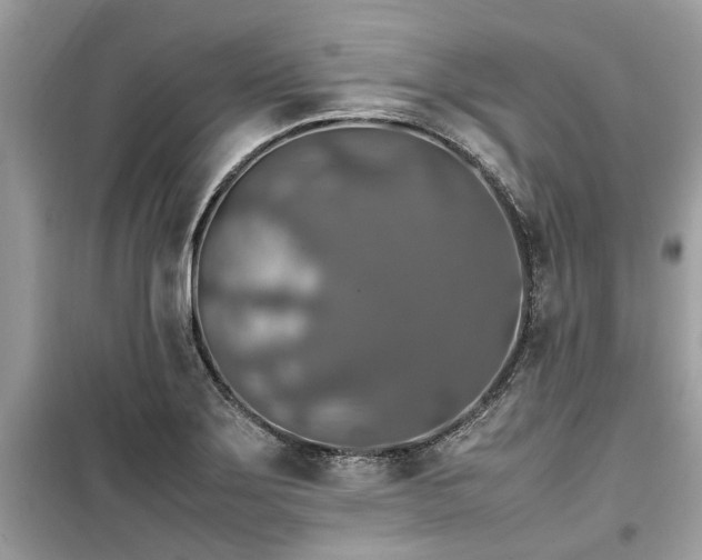 X0000099571275200805161508
