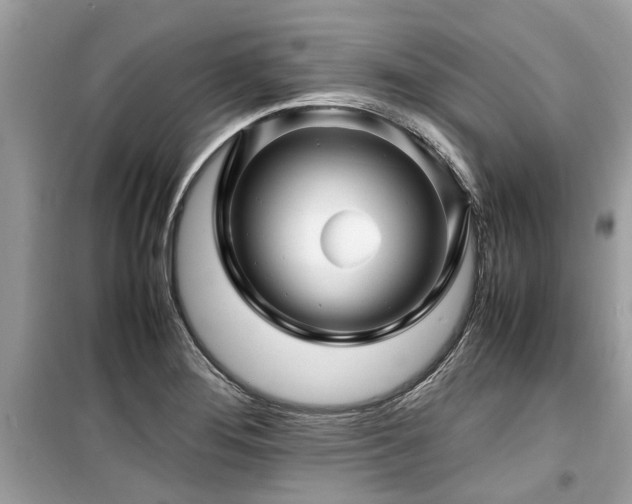 X0000099571276200805161508