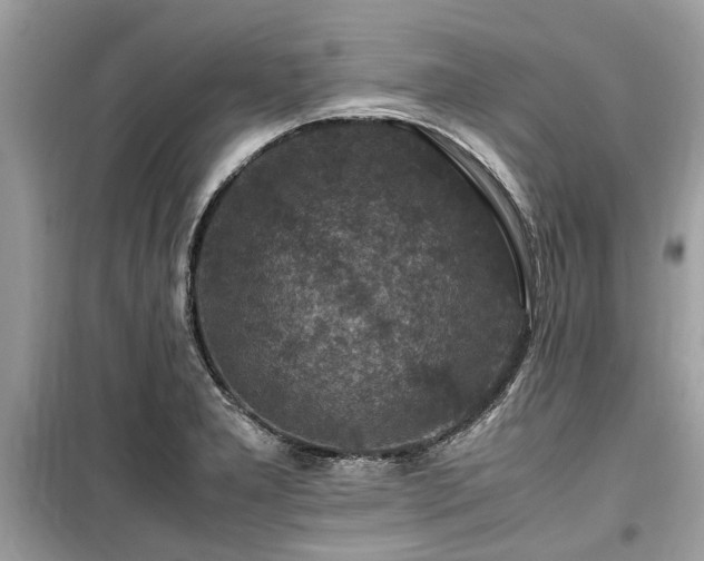 X0000099571277200805161508