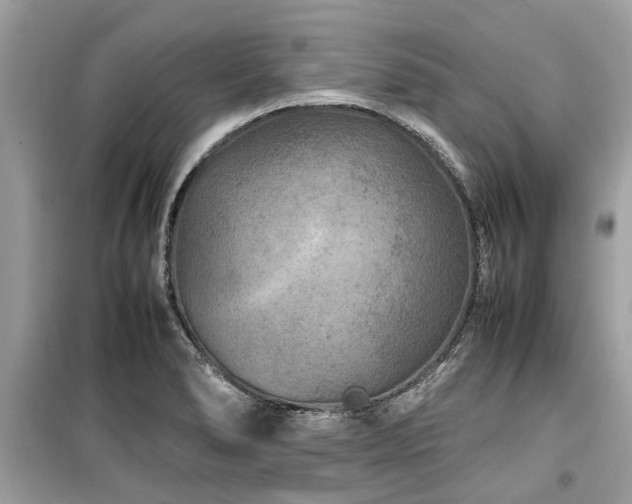 X0000099571278200805161508