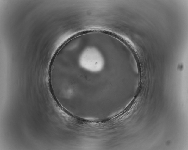 X0000099571279200805161508