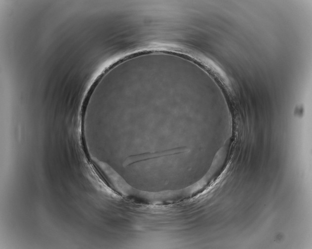 X0000099571280200805161508