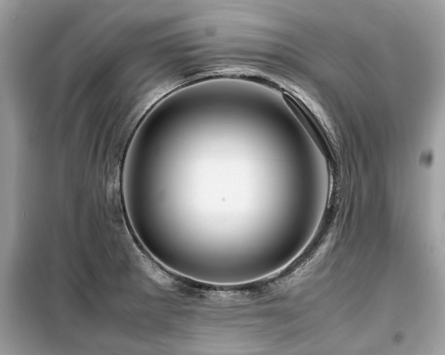 X0000099571281200805161508