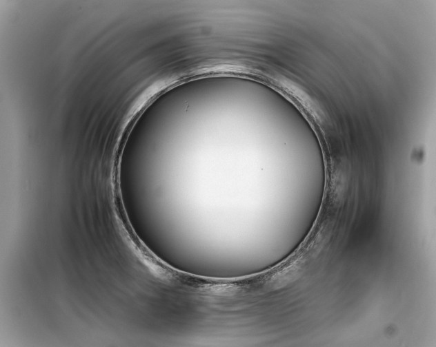 X0000099571282200805161508