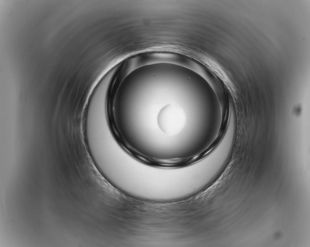 X0000099571284200805161508