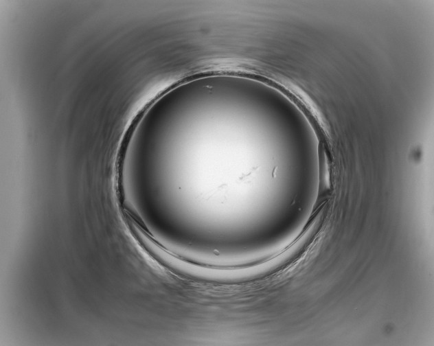 X0000099571285200805161508
