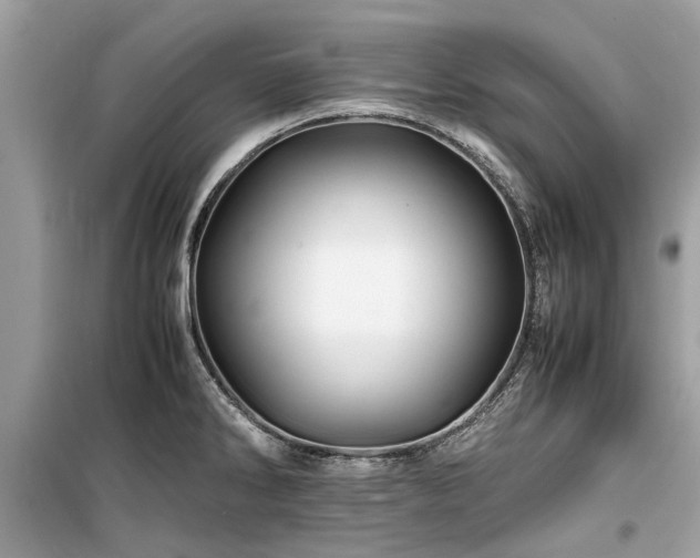 X0000099571286200805161508