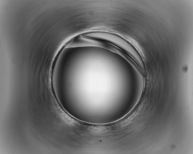 X0000099571288200805161508