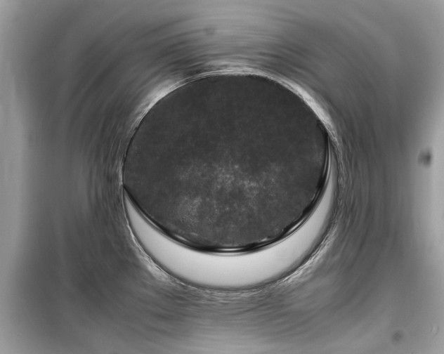 X0000099571289200805161508