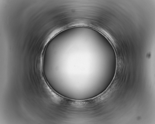 X0000099571290200805161508