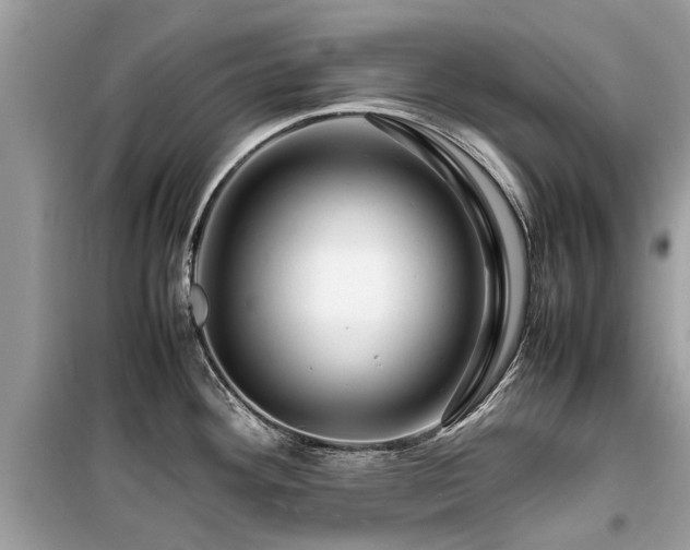X0000099571292200805161508