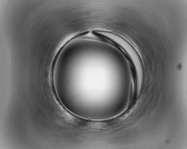 X0000099571293200805161508