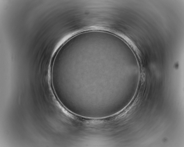 X0000099571294200805161508