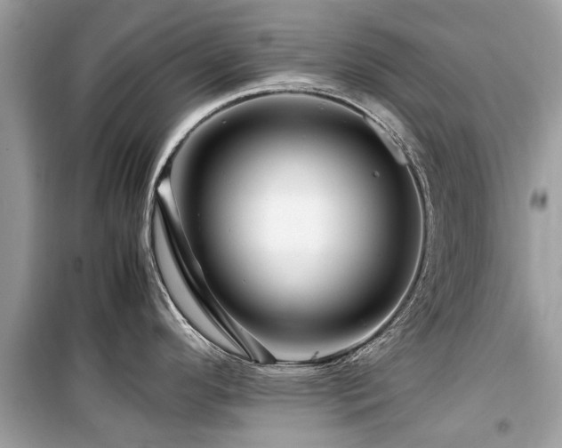 X0000099571296200805161508