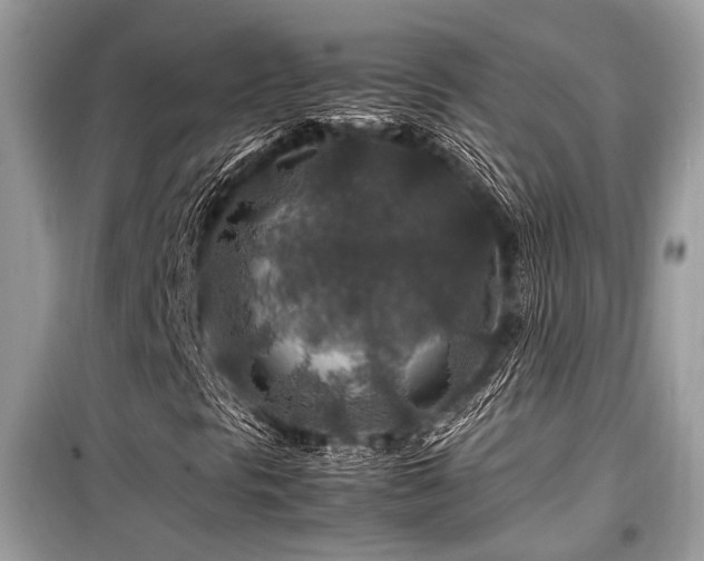X0000099571297200805161507
