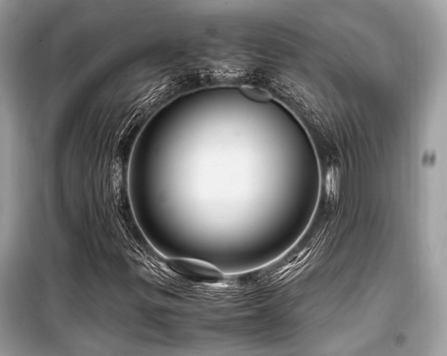 X0000099571299200805161507