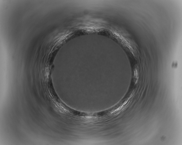 X0000099571300200805161507