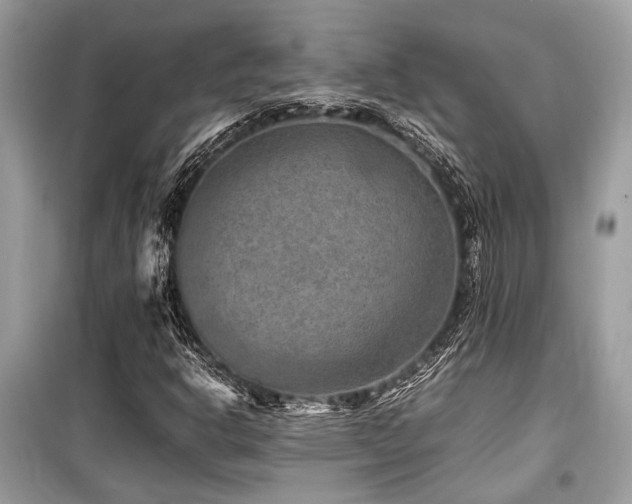 X0000099571302200805161507