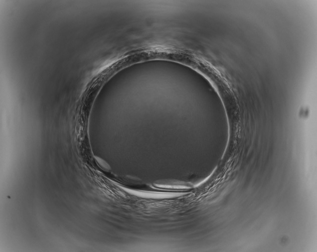 X0000099571303200805161507