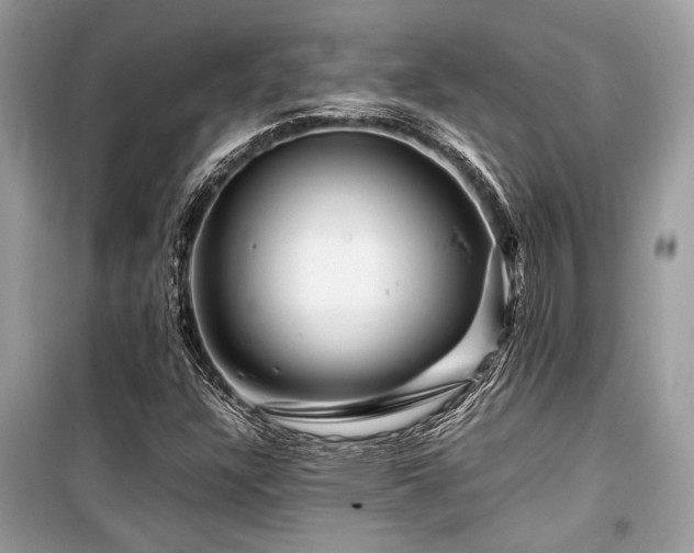 X0000099571304200805161507