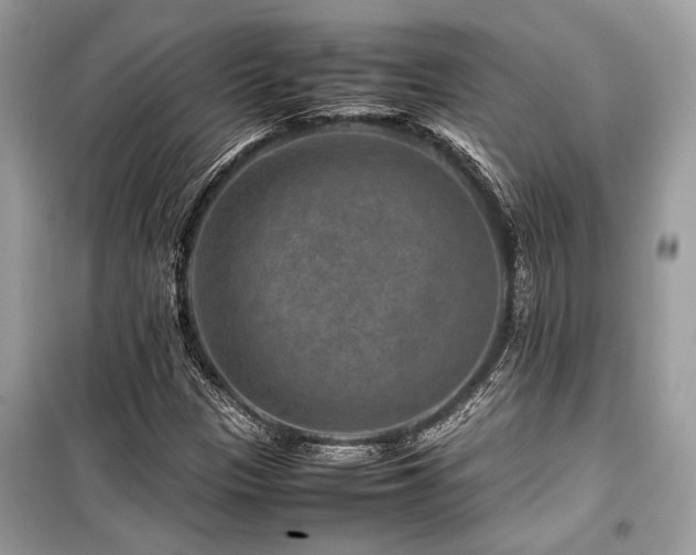 X0000099571305200805161507