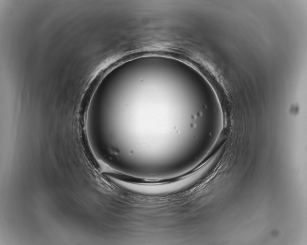 X0000099571308200805161507