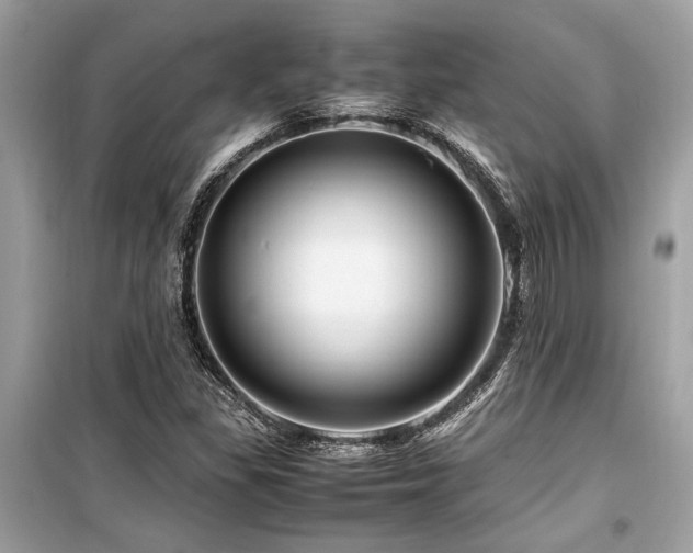 X0000099571309200805161507