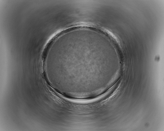 X0000099571310200805161507