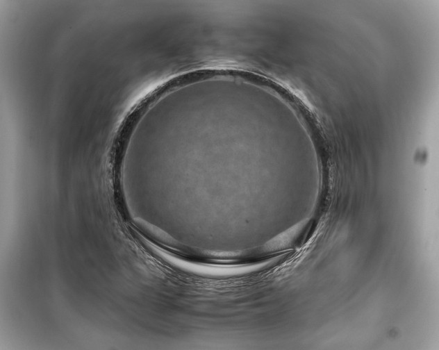 X0000099571311200805161507