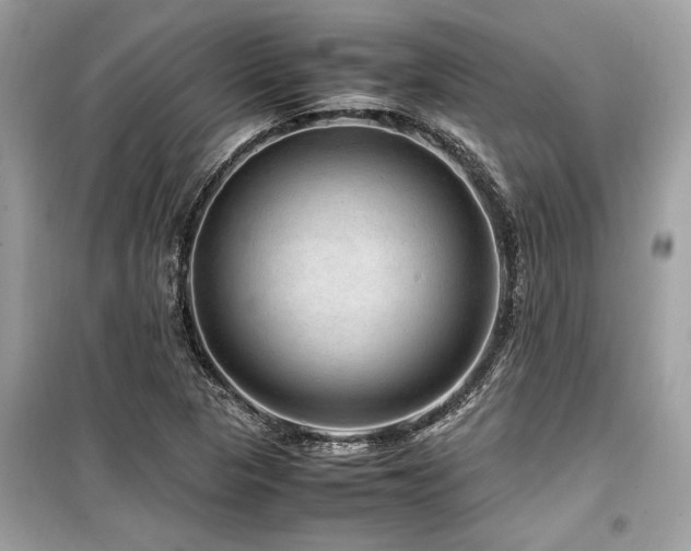 X0000099571313200805161507