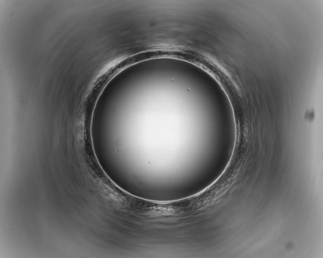 X0000099571315200805161507