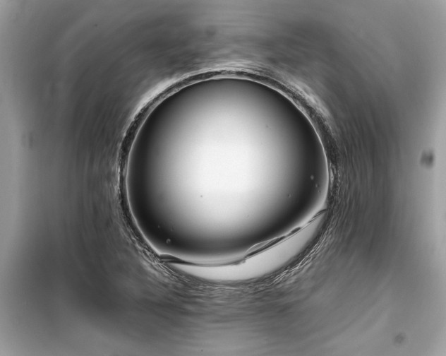 X0000099571316200805161507