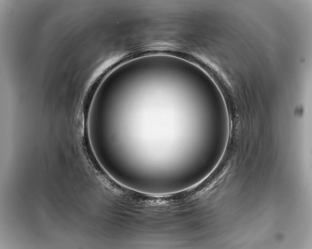 X0000099571317200805161507