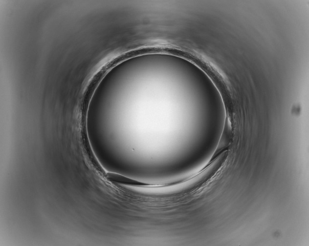 X0000099571318200805161507