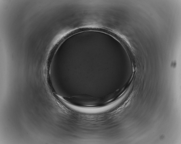 X0000099571319200805161507