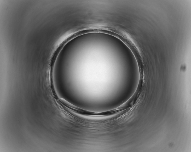 X0000099571320200805161507