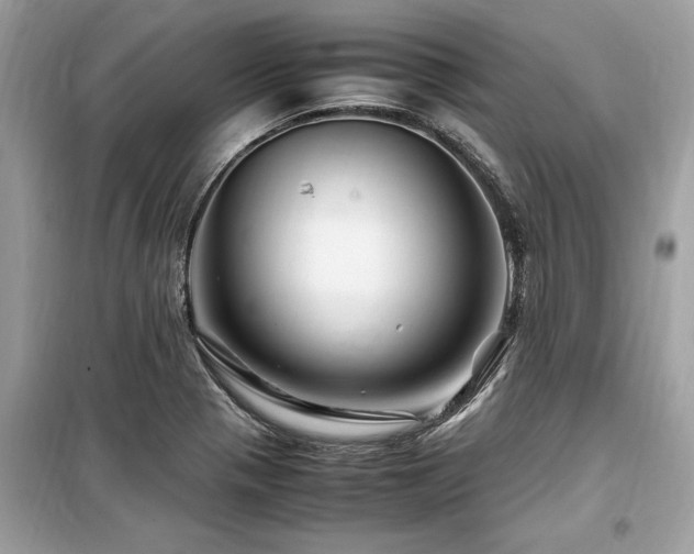 X0000099571321200805161507