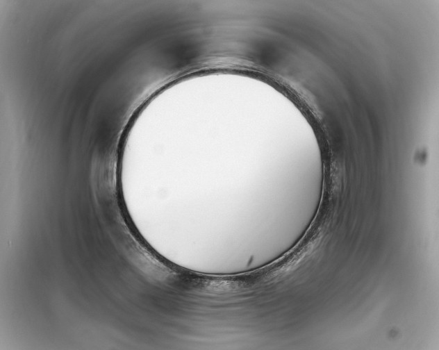 X0000099571322200805161507