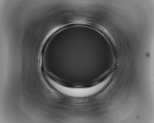 X0000099571323200805161508